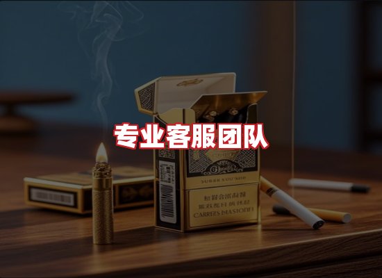 专业团队